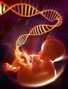 fetus-dna