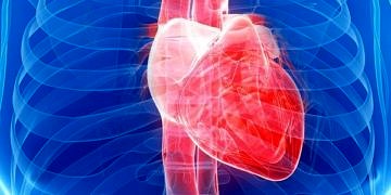 Mitral kapak tamiri hastanın ömrünü uzatıyor