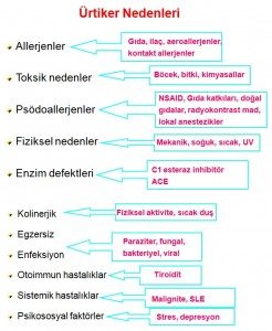 Ürtiker 3 medikal akademi