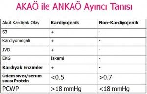 akut-akciger-odemi-sekil