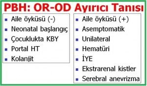 bobrek-kalitsal-kistik-hastalik3