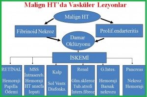 hipertansif-krizler1
