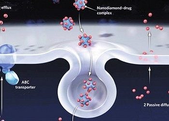 Nanoelmaslar meme kanseri tedavisinin etkililiğini artırabilir