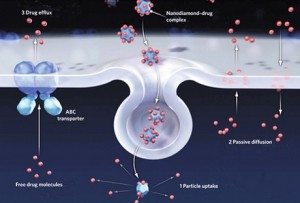 NNANO-11040628-f07.pptx