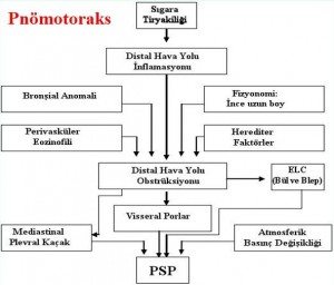 Pnömotoraks1-3 medikal akademi