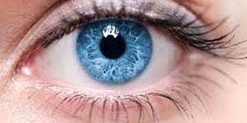 Statin tedavisi alan hastalarda glokom riski azalıyor mu?