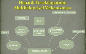 Hepatik Ensefalopati 2