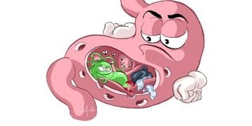 Helicobacter pylori virülen suşu taşıyan kişilerde inme riski %55 daha az!