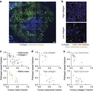 kanser-tansiyon-ilac