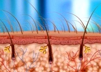 Kellik tarih oluyor: Laboratuvarda üretilen saç kelliğe çözüm olabilir