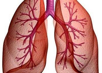 Astım nedir? Nedenleri, belirtileri, tedavisi ve hastalara öneriler