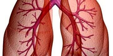 Astım nedir? Nedenleri, belirtileri, tedavisi ve hastalara öneriler