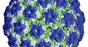 Aşıyla önlenebilen ama önemsenmeyen kanser türü: Servikal kanserler