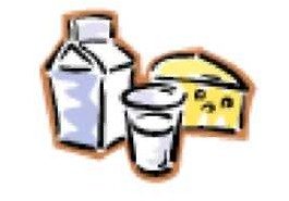 süt ürünleri beslenme