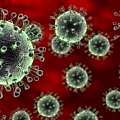 grip-influenza-virus