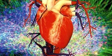 Kardiyak kök hücre kalp yetersizliği tedavisinde seçenek olabilir