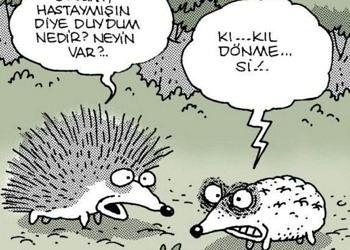 Kıl dönmesi (pilonidal sinüs) nedir? Nedenleri, tedavisi ve ameliyatı