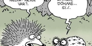 Kıl dönmesi (pilonidal sinüs) nedir? Nedenleri, tedavisi ve ameliyatı