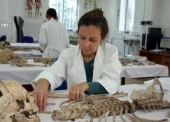 Adli tıpta kimlik ve yaş tespiti