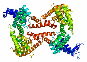 Mide kanserinin erken teşhisi için yeni bir umut