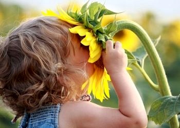 Bahar alerjisi nedir? Ne tür risk faktörleri şiddetlenmesine yol açar?