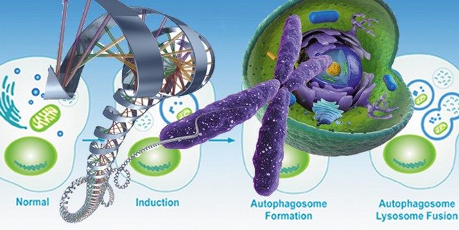 kanser-genetik-hucre