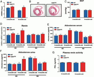 tansiyon gün ışığı