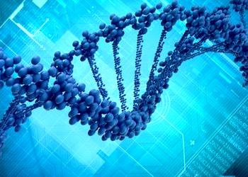 Şişmanlığa sebep olan yeni bir gen bulundu