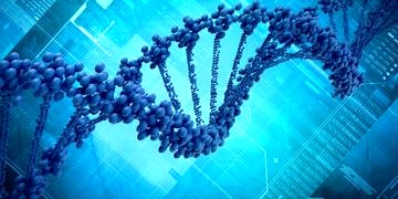 Şişmanlığa sebep olan yeni bir gen bulundu