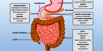 Gut tanı ve tedavisi