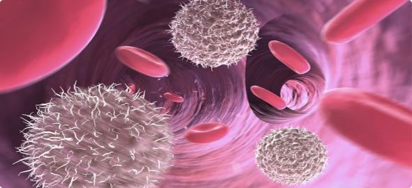 bagisiklik-14fae1871696ac