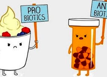 Probiyotikleri yok eden en büyük 3 düşman