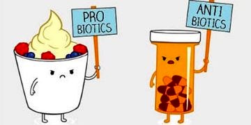 Probiyotikleri yok eden en büyük 3 düşman