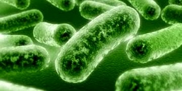 Probiyotikleri yok eden en büyük 3 düşman