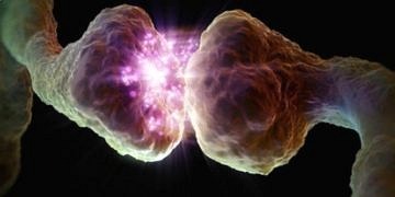 Yeme isteğine karşı koyan beyin hücreleri keşfedildi!