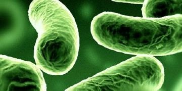 Mikrop nedir, nasıl bulaşır? Korunmak için ne yapmak gerekir?