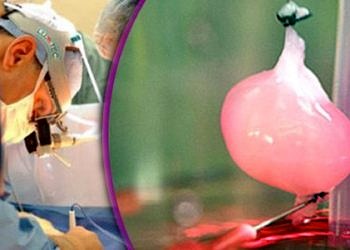 Laboratuvarda tamamen işlevsel organ üretildi