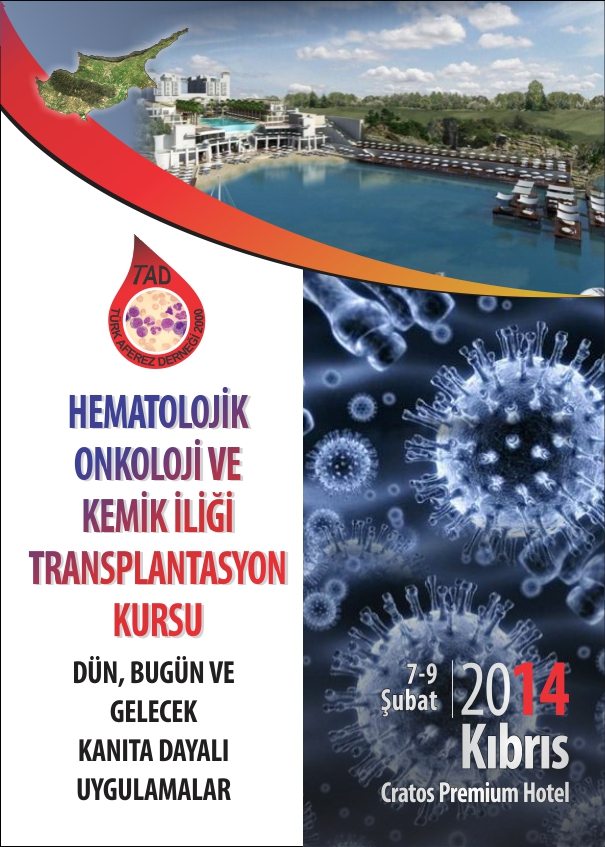 afiş-kış-okulu_poster