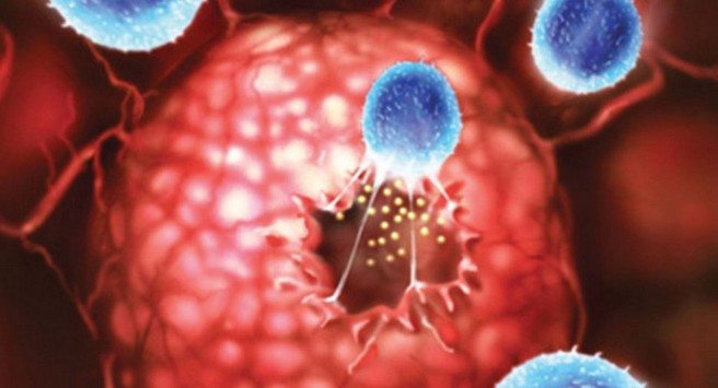 cancer-vaccine-kanser-asi