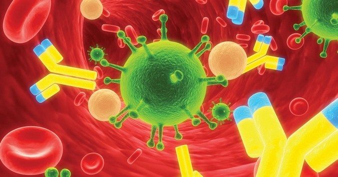 kan-hucre-immun- antibodies