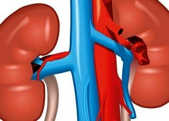 Akıllı nanofiberler böbrek yetmezliği tedavinde devrim yaratabilir