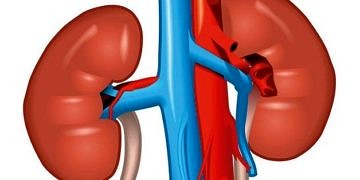 Akıllı nanofiberler böbrek yetmezliği tedavinde devrim yaratabilir