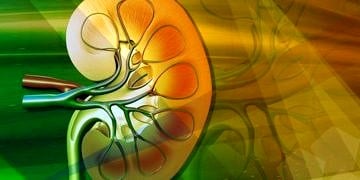 Akıllı nanofiberler böbrek yetmezliği tedavinde devrim yaratabilir