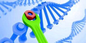 Genetik bozuklukların tedavisinde yeni bir seçenek: Gen optimizasyonu