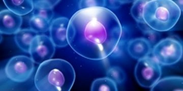 Genetiği değiştirilmiş hücre terapisi kanseri yok etmekte başarı sağladı