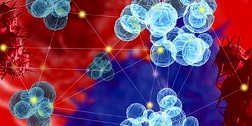 Genetiği değiştirilmiş hücre terapisi kanseri yok etmekte başarı sağladı