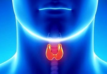 Tiroid bezi hastalıkları hakkında mutlaka bilinmesi gerekenler