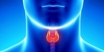 Tiroid bezi hastalıkları hakkında mutlaka bilinmesi gerekenler