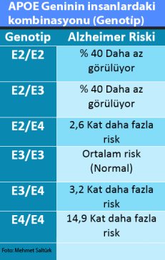 apoe-genotip1