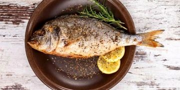 Omega 3 Deposu: Balık